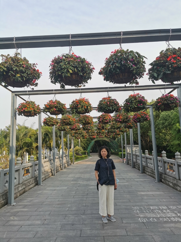 一叶知秋的第二张照片--闽侯征婚网